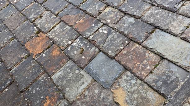 istock Roof tiles 1484078418