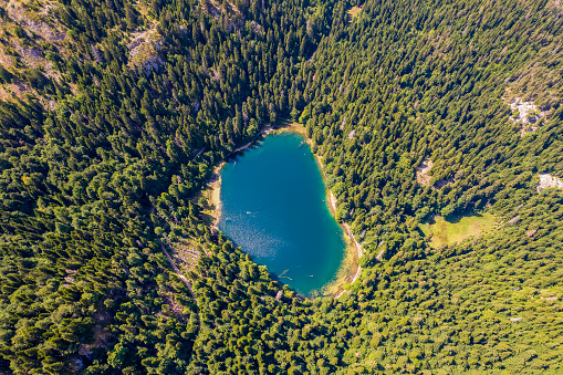 Aerial view of mountain lake surrounded by dense coniferous and beech forest. Montenegro, Europe. In Montenegro they call him Zabojsko Jezero and has an elevation of 1481 metres