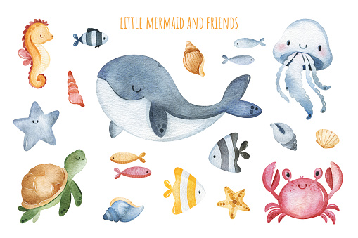 Watercolor illustration with cute underwater animals.Set with turtle,shells,fishes,jellyfish,whale,crab and seahorse.Perfect for baby shower,wedding,greeting cards,nursery,invitations,birthday,party.
