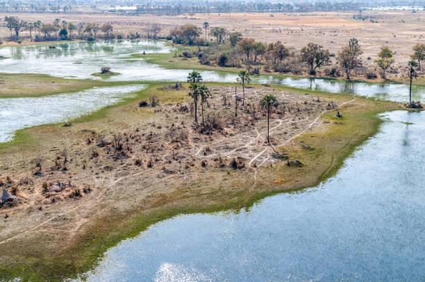 istock Aerial view of the Okavango Delta 1484086496
