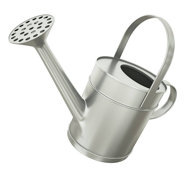 istock Metal watering can on a white background 148408764