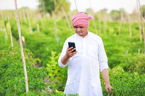 Young indian farmer showing Smart phone , Farmer talking on phone in farm, happy indian farmer