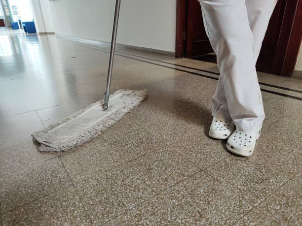 istock Cleaning woman 1484099104