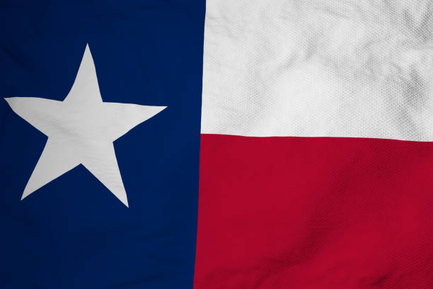 istock Flag of Texas in 3D rendering 1484101632