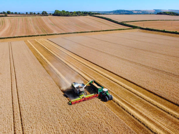 aerial view - harvest time - agricultural activity yorkshire wheat field imagens e fotografias de stock
