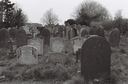 An eary mist covering an English grave yard with about fifty grave stones, the headstones in the foreground are in the shape of large Cristian crosses, two large trees with no leaves on cover each side of the grave yard.