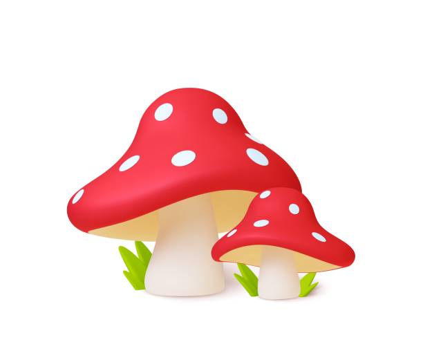 ilustrações, clipart, desenhos animados e ícones de cogumelo composição 3d. amanita isolou elementos realistas, plantas da floresta de outono. gráfico vetorial de renderização moderno - mushroom edible mushroom red botany