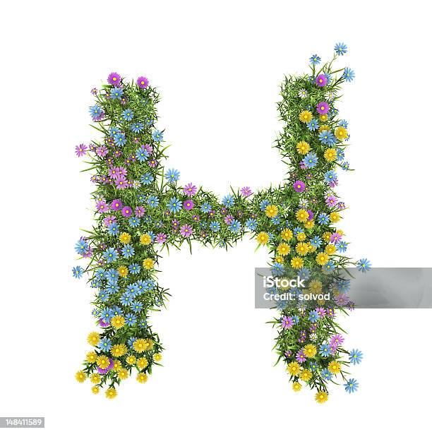 Buchstabe H Blume Alphabet Isoliert Auf Weiss Stockfoto und mehr Bilder von Alphabet - Alphabet, Blume, Blumenbouqet