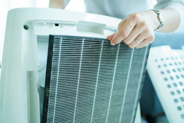 istock Woman changing air purifier filter. 1484122194