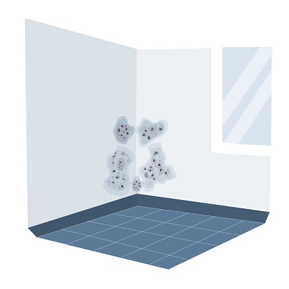 Mold on the wall in the house from high humidity Vector illustration in a flat style.