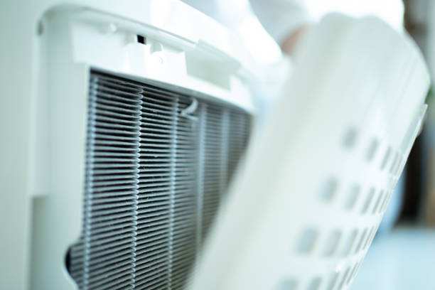istock Woman changing air purifier filter. 1484124630