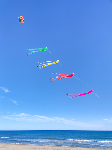 Blue sky with colorful kites in the shape of marine animal