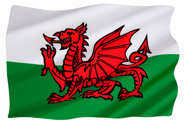 istock Welsh Flag - Flag of Wales 1484127080