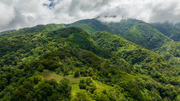 istock Top view of Mountain slopes covered with rainforest. 1484127132