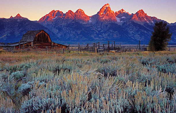 istock Sunrise on the Tetons 148412790