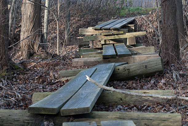 istock Wooden Walkway in the Woods 148412817