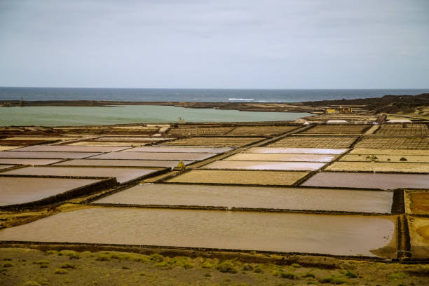 seawater desalination at yaza on the island of lanzarote - desalination imagens e fotografias de stock