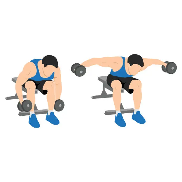 Vector illustration of Man doing seated bent over rear delt raises exercise