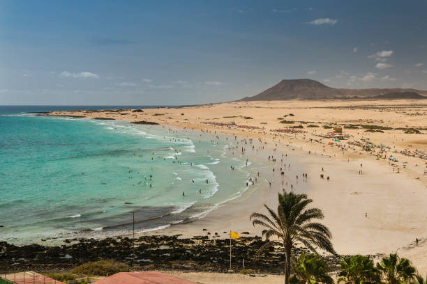 istock Corralejo Beach in Fuerteventura, Spain 1484129951
