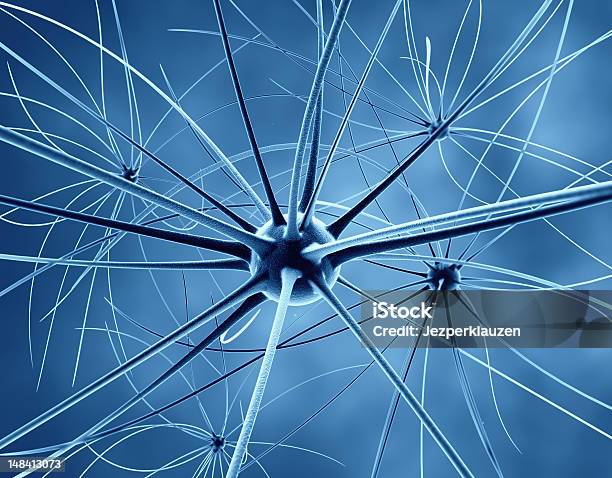 Foto de O Cérebro Neurons E O Sistema Nervoso e mais fotos de stock de Alta Magnificação - Alta Magnificação, Anatomia, Axônio