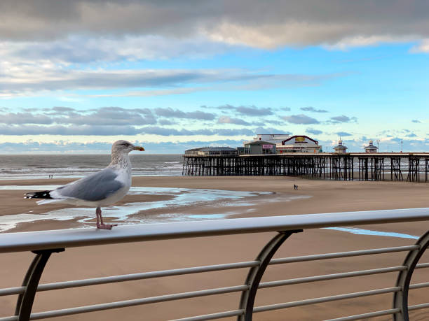 блэкпул - ланкашир - юнайтед киндом - blackpool pier стоковые фото и изображения