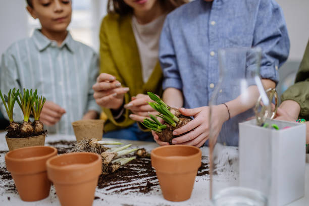 istock Young teacher learning pupils how to take care about plants. 1484132624