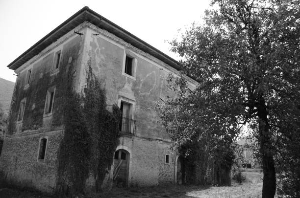 istock Country House and Tree 1484134437