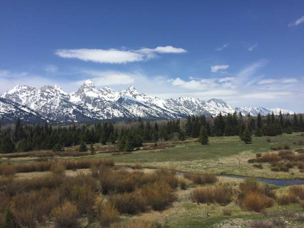 istock Mountain Majesty: Grand Teton's Serene Beauty 1484136199