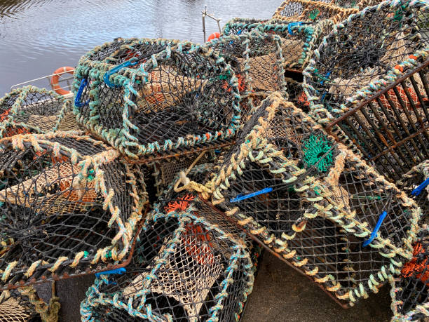 istock Lobster Pots - Helmsdale Harbor - Scotland 1484137490