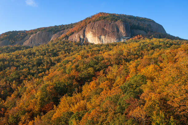 pisgah national forest, north carolina, usa at looking glass rock d - looking glass rock imagens e fotografias de stock