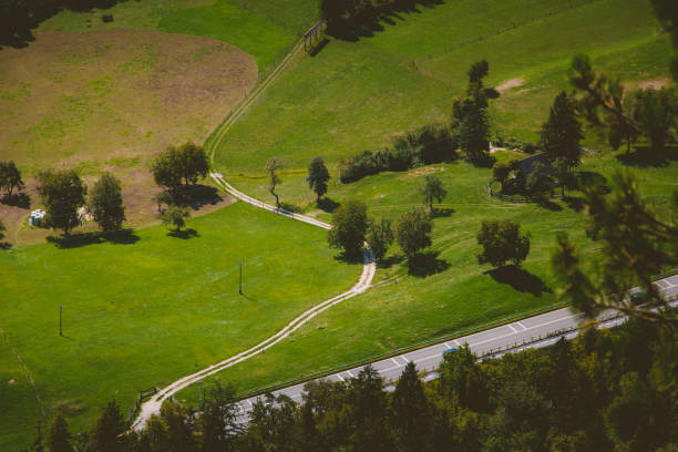 istock Grass, green fields in countryside of Slovenia 1484142536