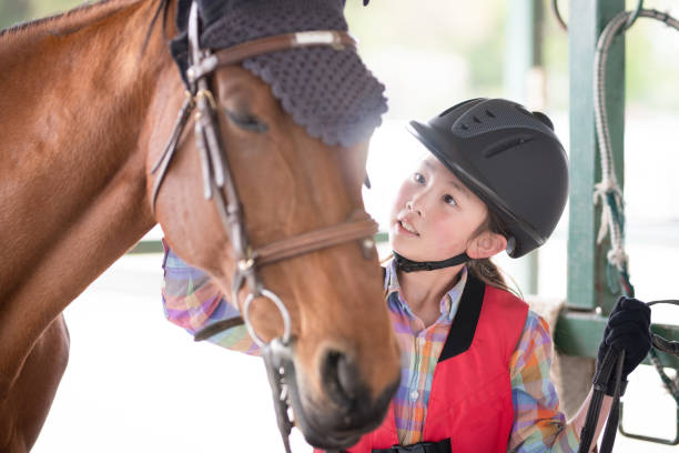 child taking care of a horse