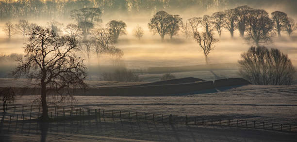 istock Early morning sunlight - Yorkshire - England 1484143998