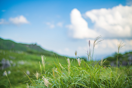 A plateau called Hiraodai with a refreshing blue sky and green grasslands