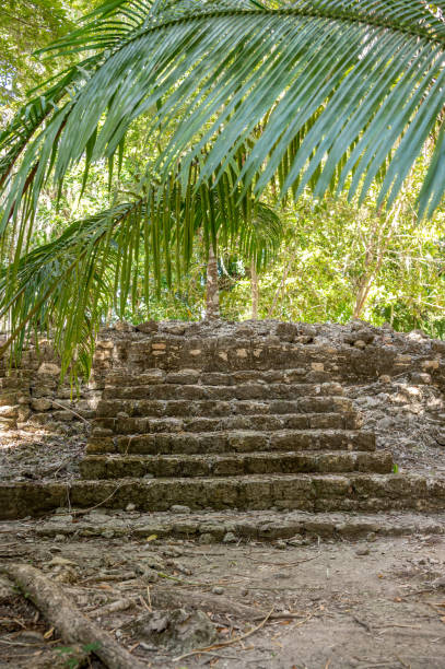 rovine maya di chacchoben, messico - chacchoben foto e immagini stock