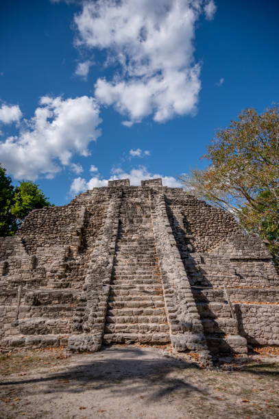 rovine maya di chacchoben, messico - chacchoben foto e immagini stock
