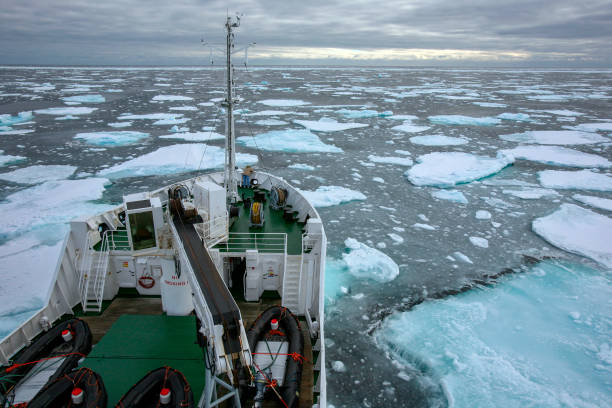 istock Sea Ice - North Atlantic - Greenland 1484148786