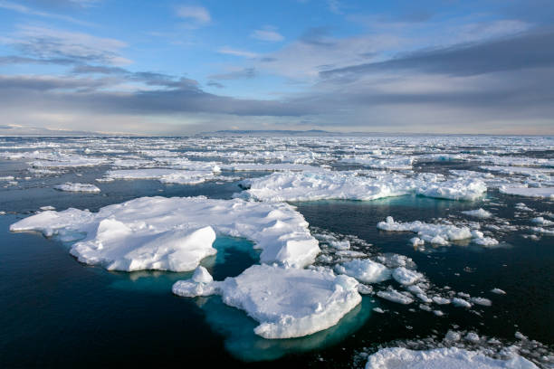 istock Sea Ice - North Atlantic - Greenland 1484148984