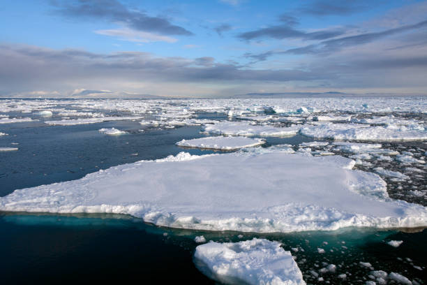 istock Sea Ice - North Atlantic - Greenland 1484148986