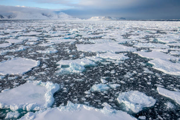 istock Sea Ice - North Atlantic - Greenland 1484148988