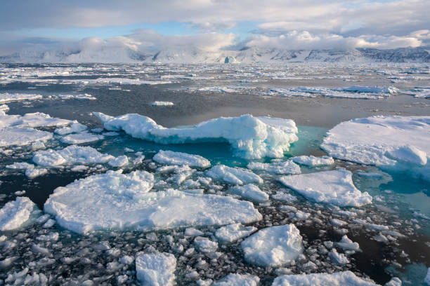 istock Sea Ice - North Atlantic - Greenland 1484148992