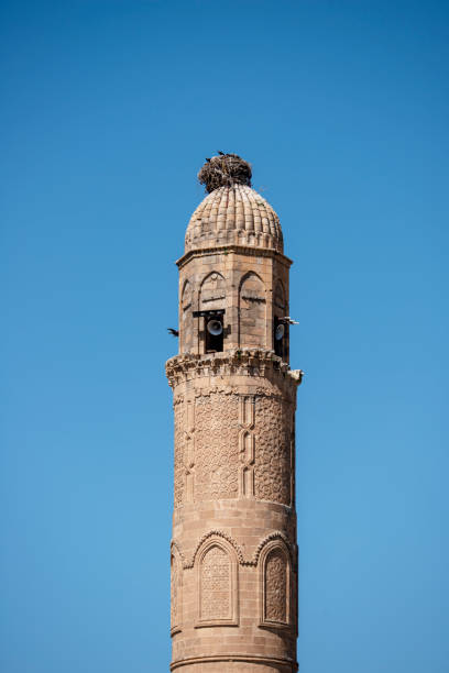 minarete de arenito antigo com alto-falantes e cegonhas nidificam no topo - hasankeyf - fotografias e filmes do acervo