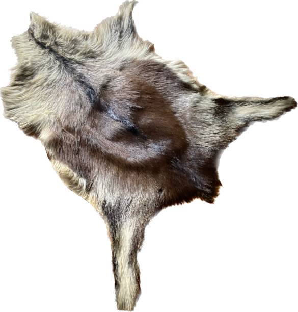 istock Genuine goat leather. Fur and tanned leather goods. 1484150811