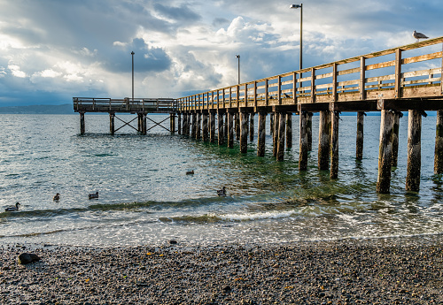 A view of pier piling in Redondo Beach, Washington. Tide is low.
