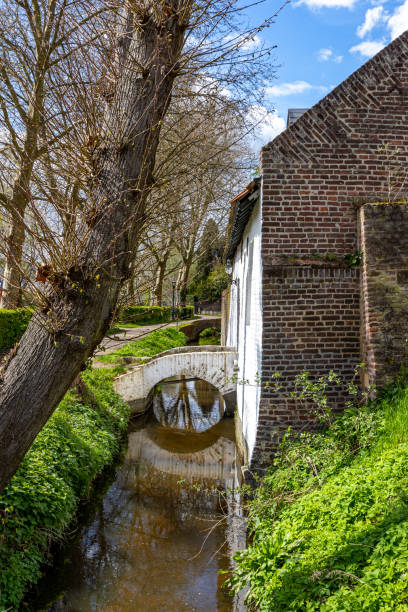istock Thornerbeek stream under small bridges between old brick houses and a footpath 1484163343