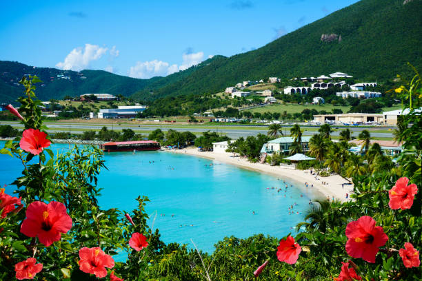 vista sulla spiaggia di emerald a st. thomas, usvi - us virgin islands foto e immagini stock