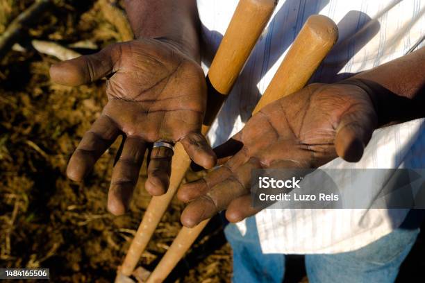 Worker Hands Stock Photo - Download Image Now - Activist, Adult, Adults Only
