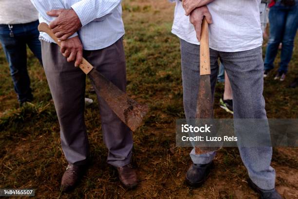 Workers Holding Cane Cutting Machetes Stock Photo - Download Image Now - Activist, Adult, Adults Only