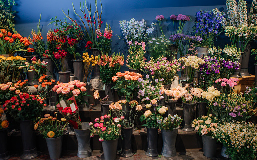 Varied selection of flowers in a florist display