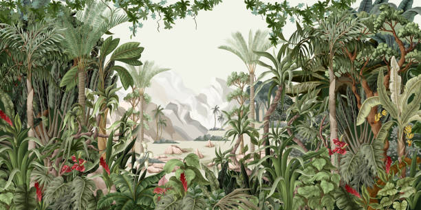 krajobraz dżungli z tropikalnymi drzewami i roślinami. wektor - egzotyczne drzewo obrazy stock illustrations